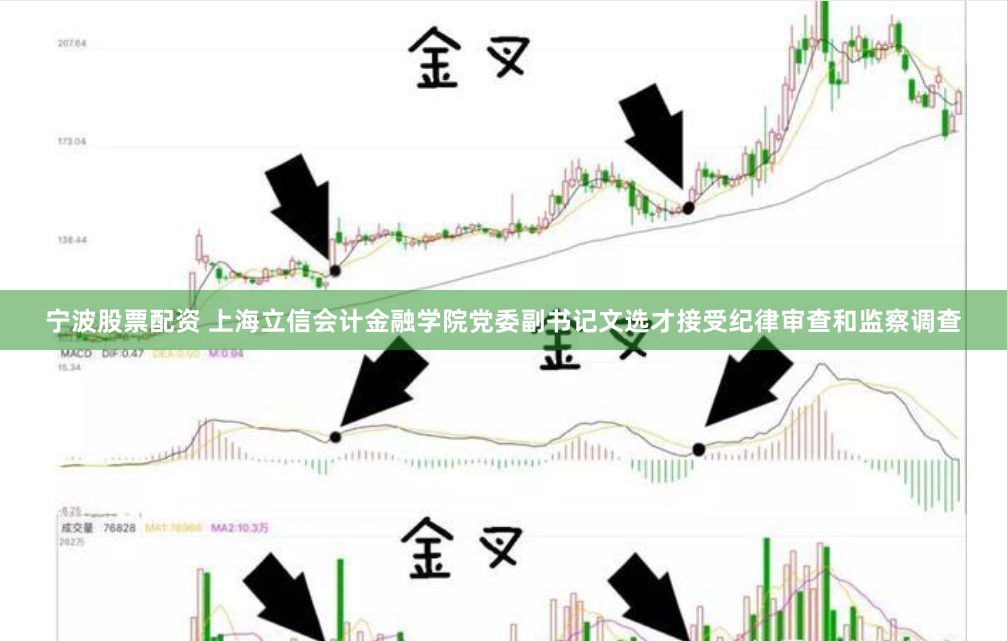 宁波股票配资 上海立信会计金融学院党委副书记文选才接受纪律审查和监察调查