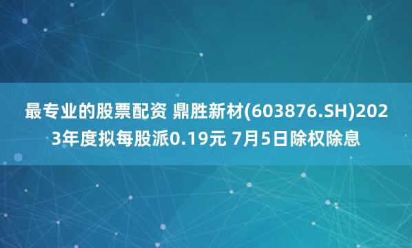 最专业的股票配资 鼎胜新材(603876.SH)2023年度拟每股派0.19元 7月5日除权除息