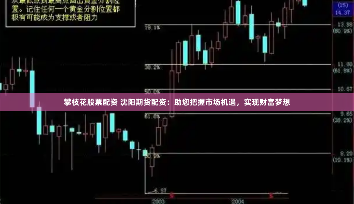攀枝花股票配资 沈阳期货配资：助您把握市场机遇，实现财富梦想