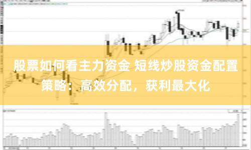 股票如何看主力资金 短线炒股资金配置策略：高效分配，获利最大化